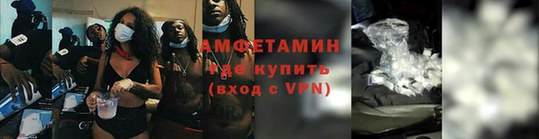 сатива Богданович