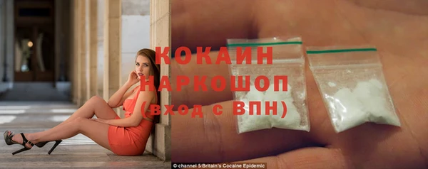 сатива Богданович