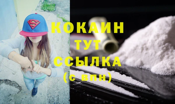 сатива Богданович